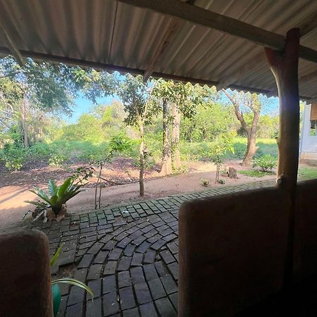 Tembo Cottage Parque Nacional Wilpattu Exterior foto